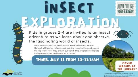 Insect Exploration