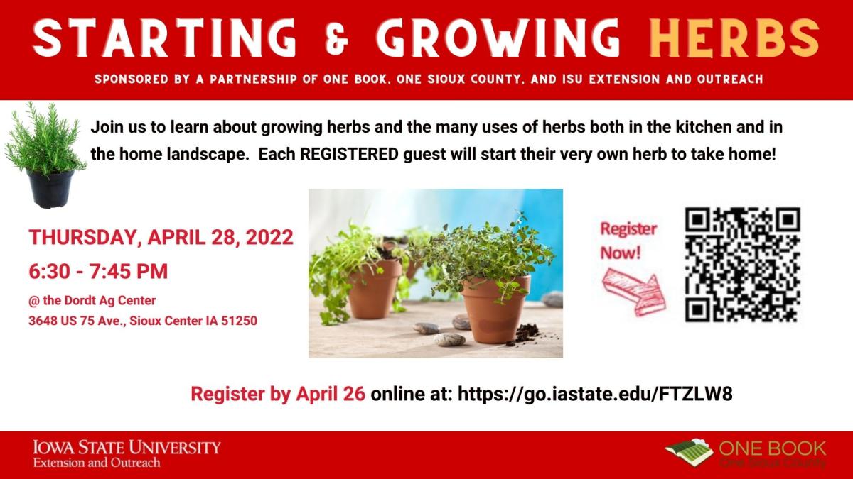 Starting and Growing Herbs