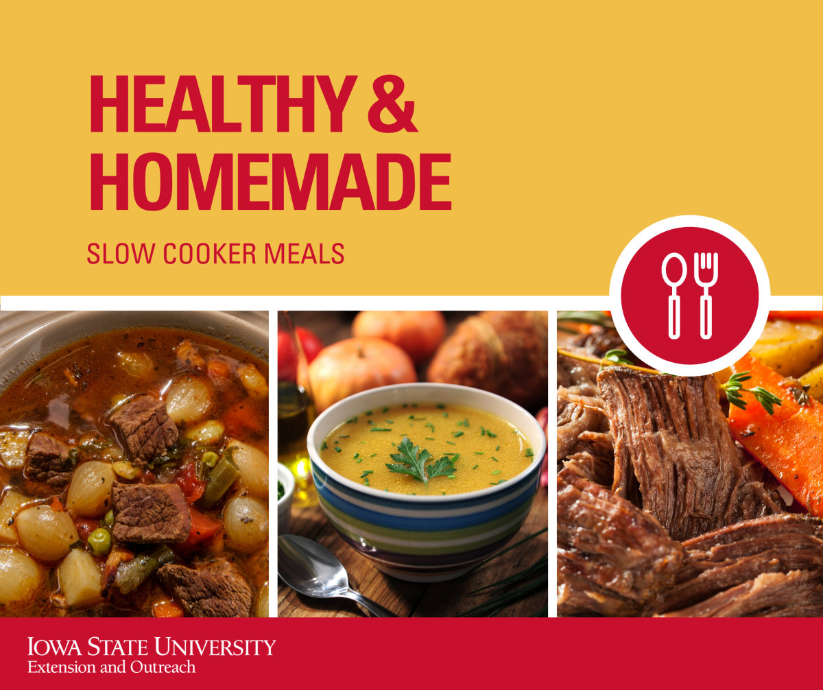 Slow Cooker Meal 